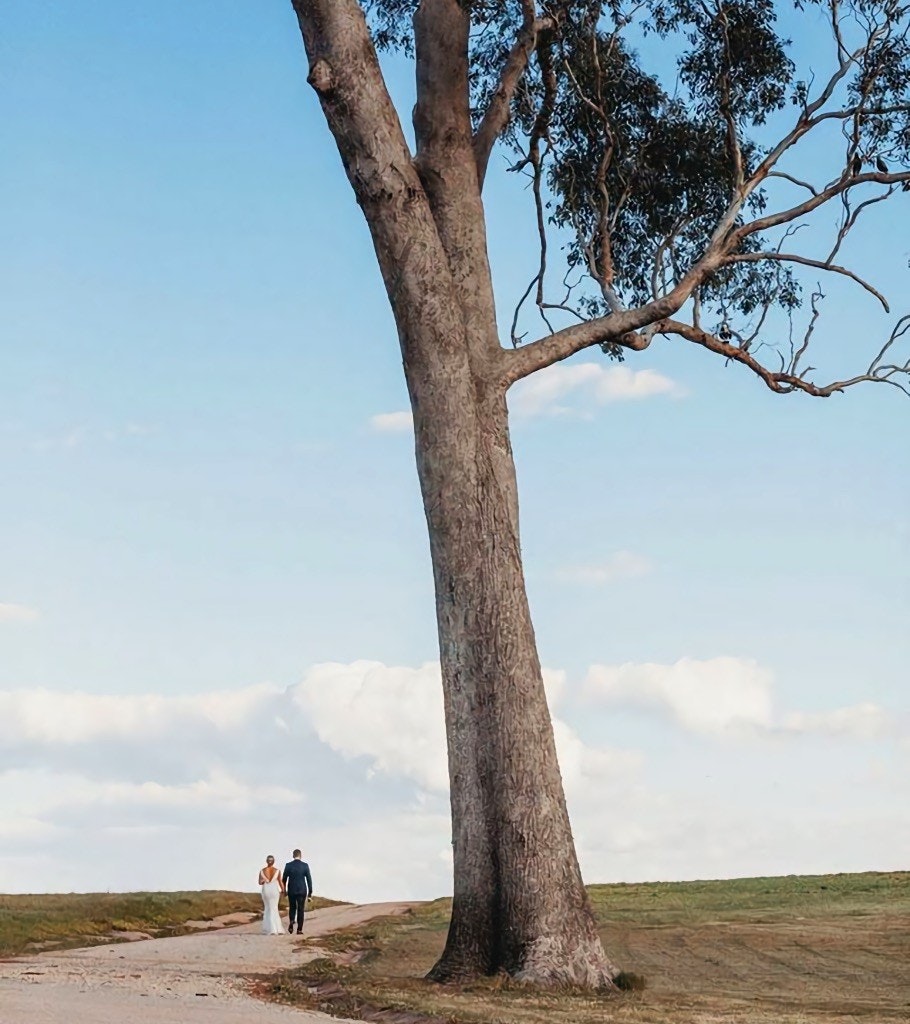 Wedding couple walking passed a large tree.